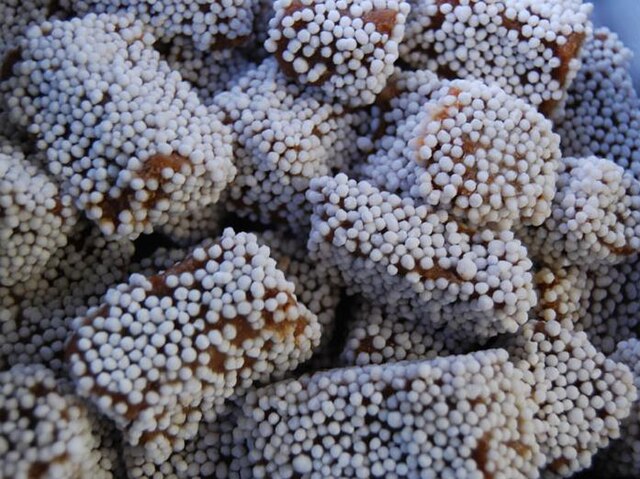Bal Mithai Uttarakhand