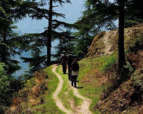 Nature Trails Mussoorie